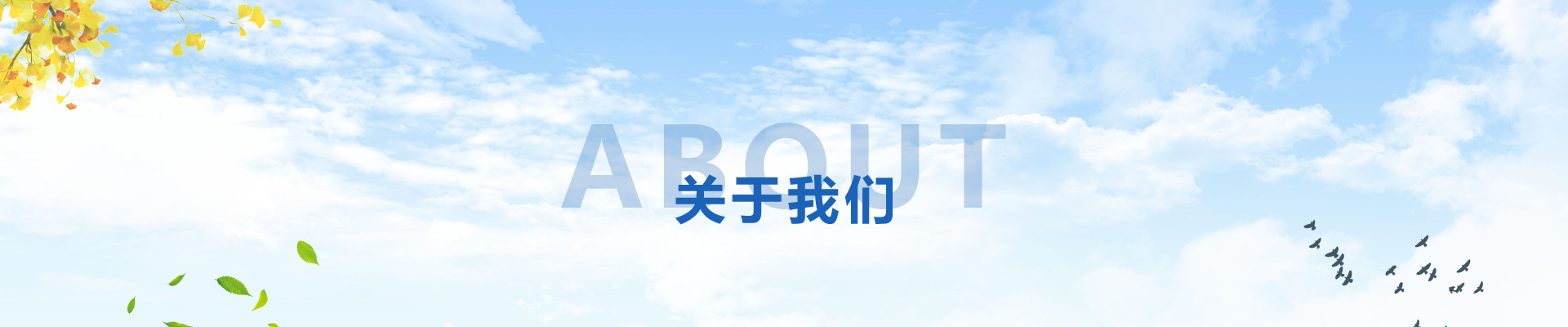 关于我们